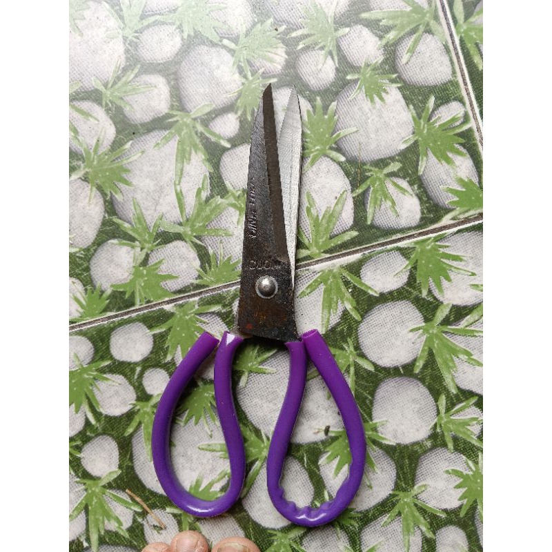 Kéo Đình Thì loại 1 (Hàng Đặt)