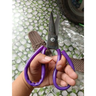 Kéo Đình Thì loại 1 (Hàng Đặt)