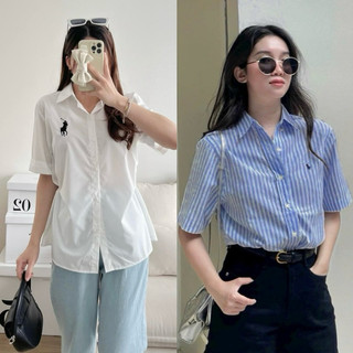 Sơ mi nữ cọc tay thêu ngựa ralph lauren slim fit knit cotton hàng xuất cotton pha lanh