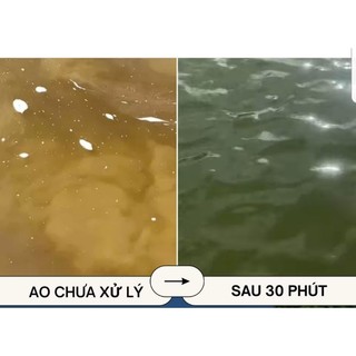 enzym chuyên xử lý nước đỏ bầm.