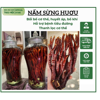 Nấm sừng hươu tây bắc chuẩn rừng