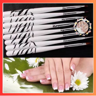Set cọ ngựa vằn 8 cây dùng trang trí móng