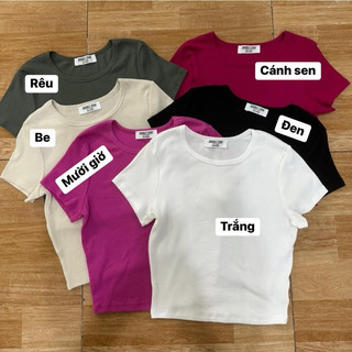 Áo baby tee