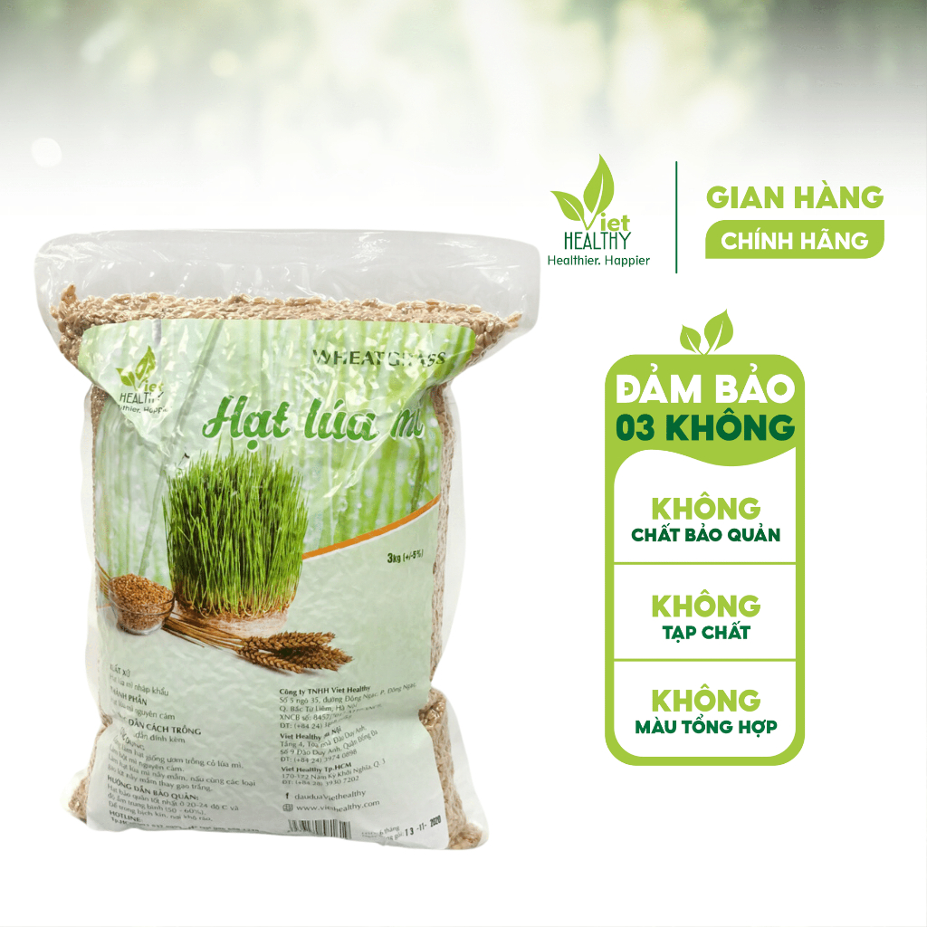 Hạt Giống Cỏ Lúa Mì Viet Healthy - Túi 3kg