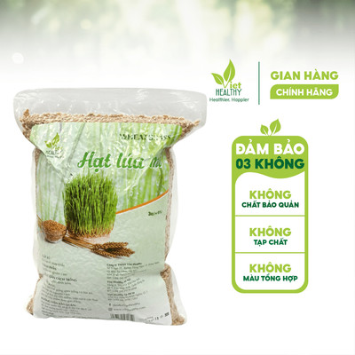 Hạt Giống Cỏ Lúa Mì Viet Healthy - Túi 3kg