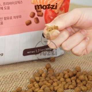 [300g - 1.2kg] Thức ăn hạt mềm ANF SOFT cho chó