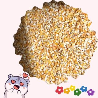 500gr hạt bắp/ngô bể, vỡ đôi cho Hamster mài răng, cho gà, chim, dê...