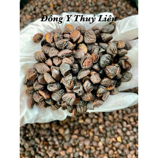 Hạt dổi nếp rừng tây bắc chuẩn loại 1
