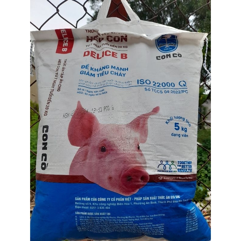 Cám heo con bao 5kg
