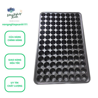 Vỉ ươm hạt giống, khay ươm hạt giống 104 lỗ kích thước 56 x 36 x 4cm