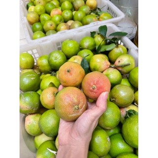 (Hoả tốc) Chanh đào tươi Tây Bắc - Mật ong Nhiên