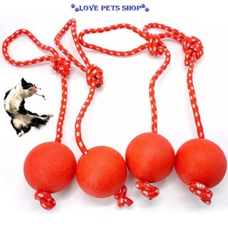 [Mã PET20K giảm 20K đơn 250K] Đồ chơi cho Chó bóng kèm dây thừng rèn luyện thể lực - Love Pets Shop