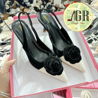 Cao gót mũi nhọn phối màu hoa trà cao 6 phân - Bonita Shoes