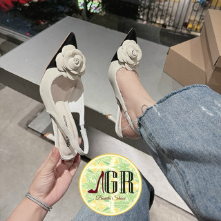 Cao gót mũi nhọn phối màu hoa trà cao 6 phân - Bonita Shoes