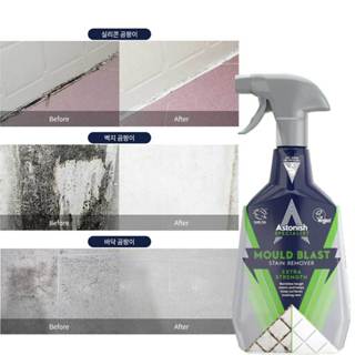 Tẩy mốc cao su silicon gioăng tủ lạnh máy giặt tường nhà trần thạch cao nhà tắm bếp tẩy mốc mold cleaner ASTONISH C1120