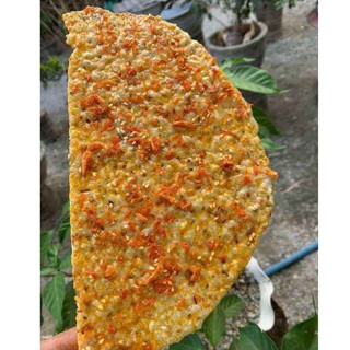 BÁNH TRÁNG NƯỚC DỪA NƯỚNG MẮM TÉP TAM QUAN BÌNH ĐỊNH 5 BÁNH