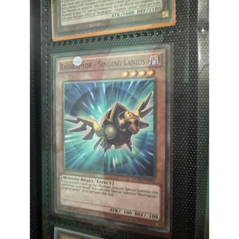 bài yugioh:raidraptor