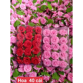 HOA CÀI ÁO-HOA 1 BÔNG-HOA 3 BÔNG