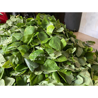 Lá sương sâm lông hữu cơ . quận 1. hoả tốc 2h.