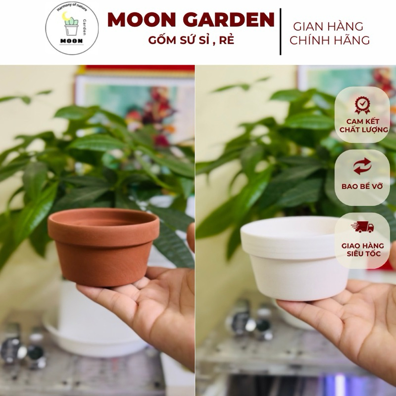 [Giá sỉ] Chậu đất nung các kích thước