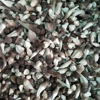 100g Nấm Mối Đen Sấy Thăng Hoa Loại Thượng Hạng (3.500k/kg)