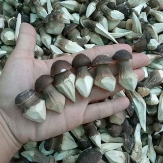 100g Nấm Mối Đen Sấy Thăng Hoa Loại Thượng Hạng (3.500k/kg)