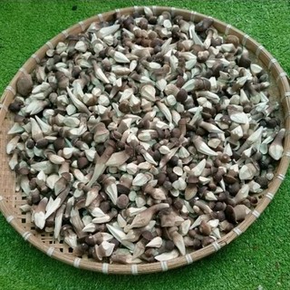 100g Nấm Mối Đen Sấy Thăng Hoa Loại Thượng Hạng (3.500k/kg)