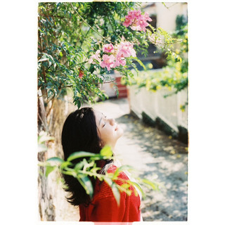 [Hanoi Film] Phim Kodak Max Versatility 800