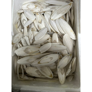 Nan mực dưới 10cm 200g
