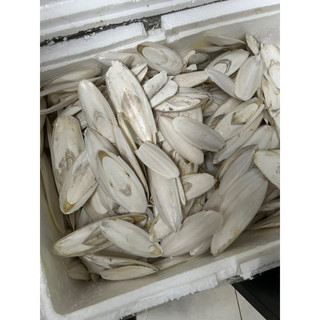 Nan mực dưới 10cm 200g