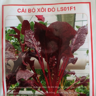 Hạt giống rau cải bó xôi đỏ LS01F1 - gói 50 hạt
