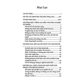 Sách Gieo Mầm Trên Sa Mạc