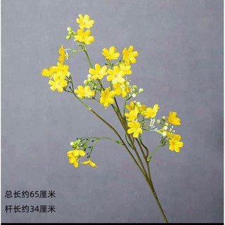 hoa nhất chi mai/ đào đông/ các mẫu trang trí
