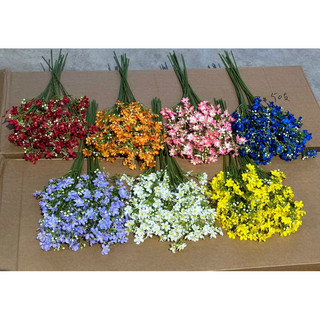 hoa nhất chi mai/ đào đông/ các mẫu trang trí