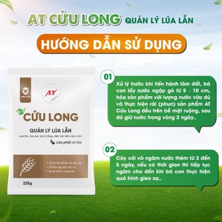 Cửu Long Gold – Xử lý lúa lộn, lúa cỏ, lúa ma, chống xì phèn, chết cây con