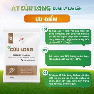 Cửu Long Gold – Xử lý lúa lộn, lúa cỏ, lúa ma, chống xì phèn, chết cây con