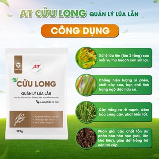 Cửu Long Gold – Xử lý lúa lộn, lúa cỏ, lúa ma, chống xì phèn, chết cây con