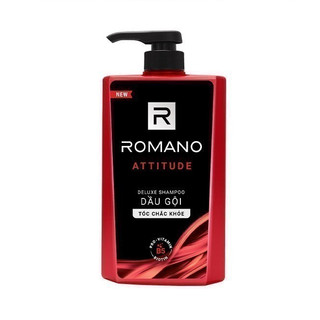 Dầu gội hương nước hoa Romano Attitude 650g