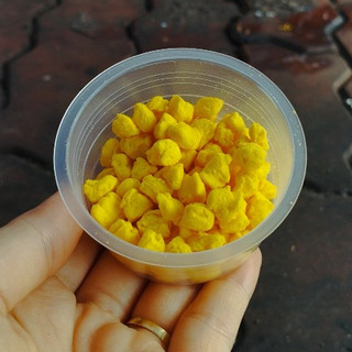 Lòng đỏ trứng gà cho thú cưng 18gr