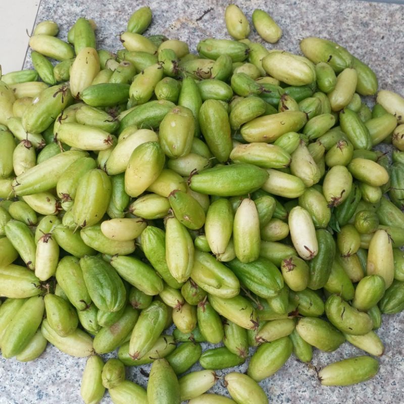 trái khế tàu tuoi. quả khế kiểng