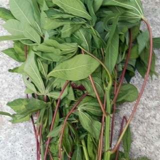 1kg lá mì lá sắn