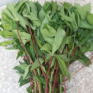 1kg lá mì lá sắn