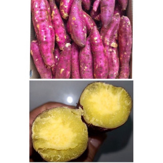 Khoai lang ruột vàng