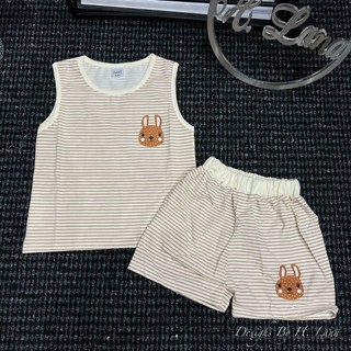 SET 3 BỘ THỎ NÂU NEXT