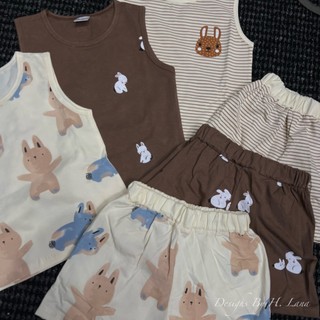 SET 3 BỘ THỎ NÂU NEXT