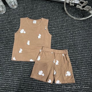 SET 3 BỘ THỎ NÂU NEXT