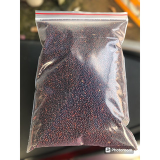 Hạt cải (mần ri) tăng lửa chim cu gáy