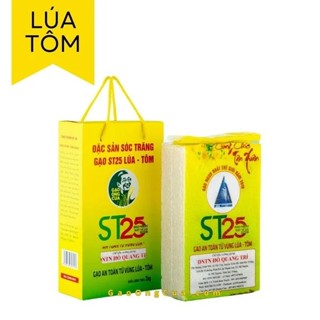 Gạo ST25 đặc sản lúa tôm thơm, ngon hộp 2kg - Chính Hiệu Hồ Quang Cua
