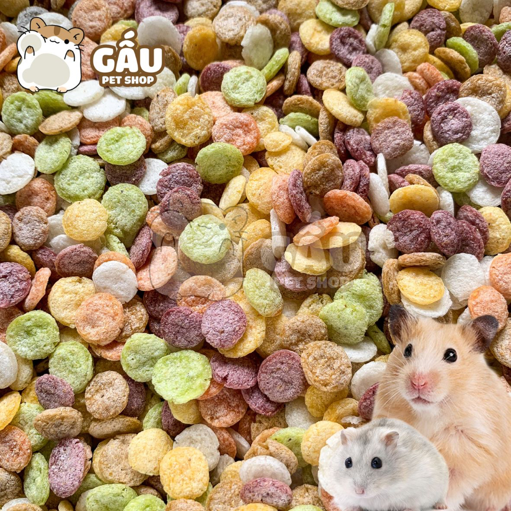 Bắp dẹp cho hamster