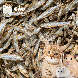 Cá Khô thức ăn vặt cho Hamster / Mèo